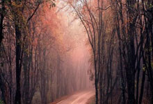 拍照不动也能变实况?iPhone这招太好用了