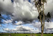 办理前问题 · 办理 · 激活|正规手机卡使用指南(2025)