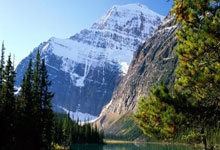 办理前问题 · 办理 · 激活|正规手机卡使用指南(2025)