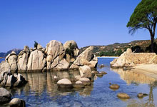 办理前问题 · 办理 · 激活|正规手机卡使用指南(2025)